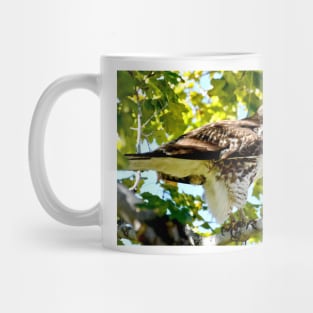 Colorado Red Tailed Hawk Mug